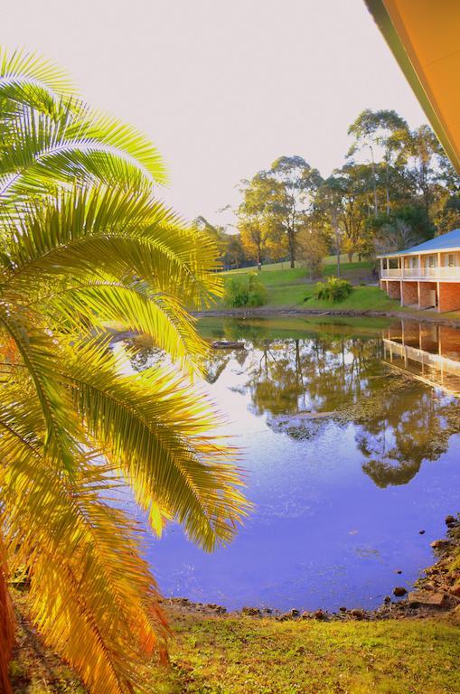 Golf Club Motor Inn Wingham Екстериор снимка